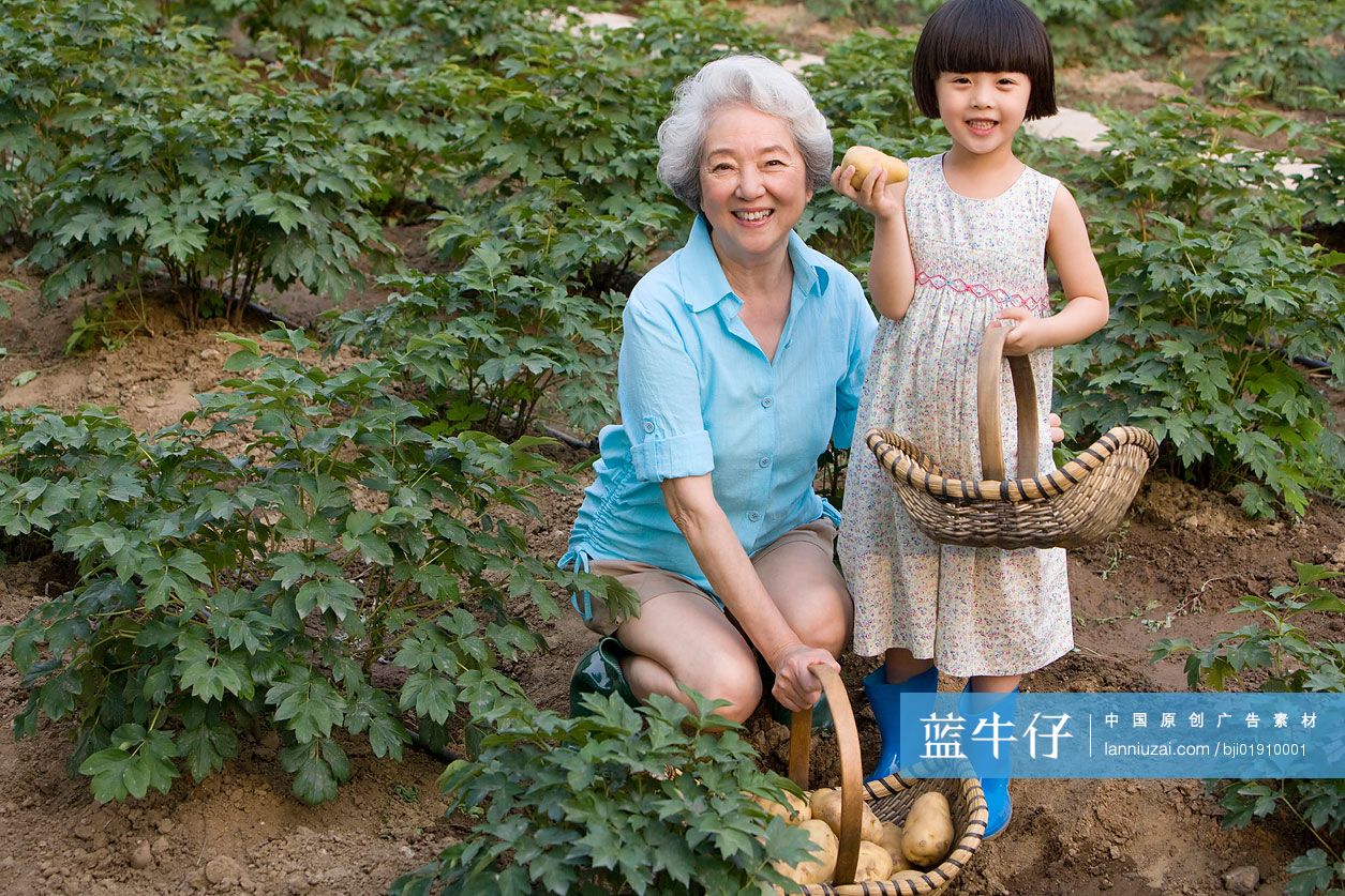 祖母和孙女在采摘