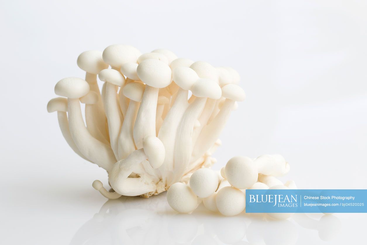 White beech mushrooms
