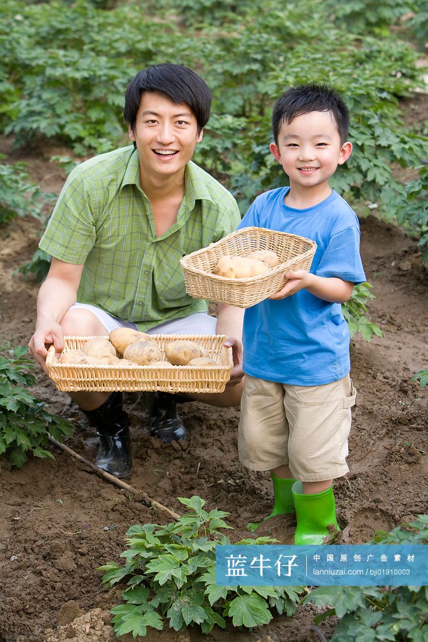 父子在现代农庄采摘