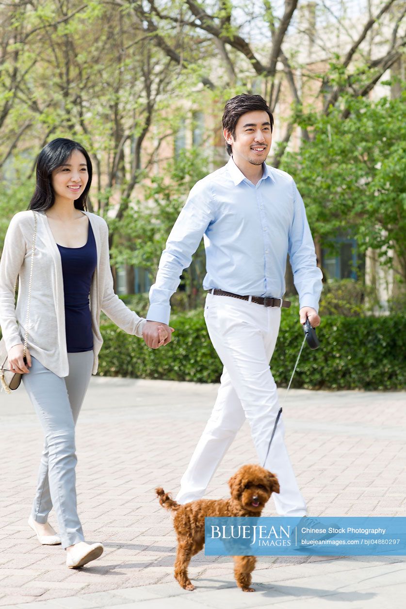 Young Chinese couple holding hands walking with their pet dog