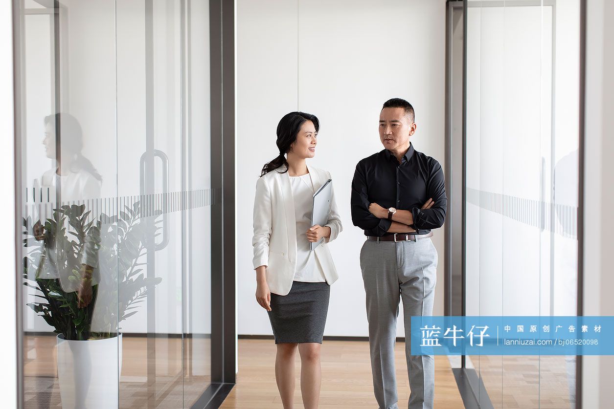 商务人士讨论工作