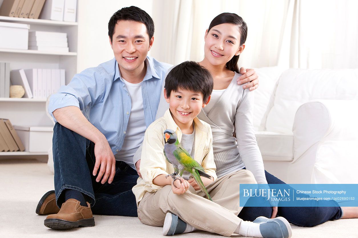 Chinese family playing with a pet parrot