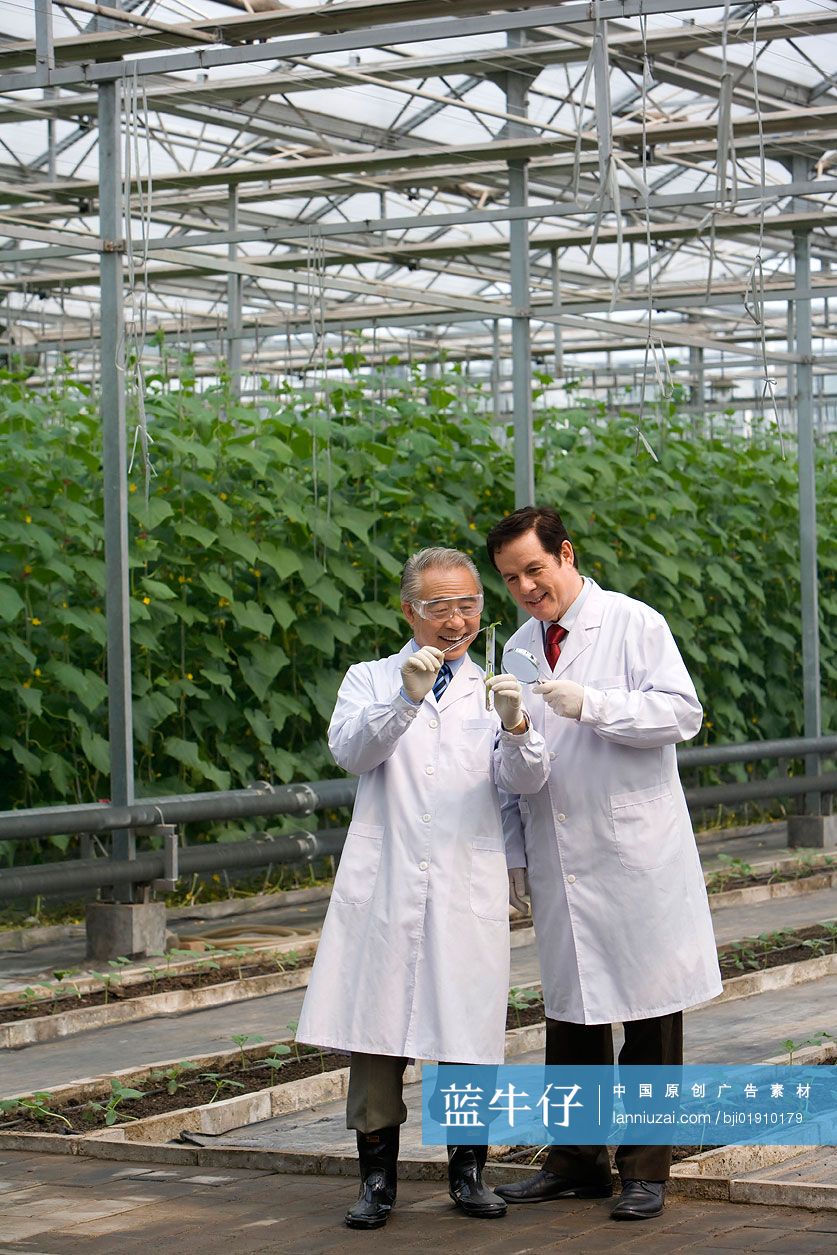 农艺师在现代农庄做科学研究