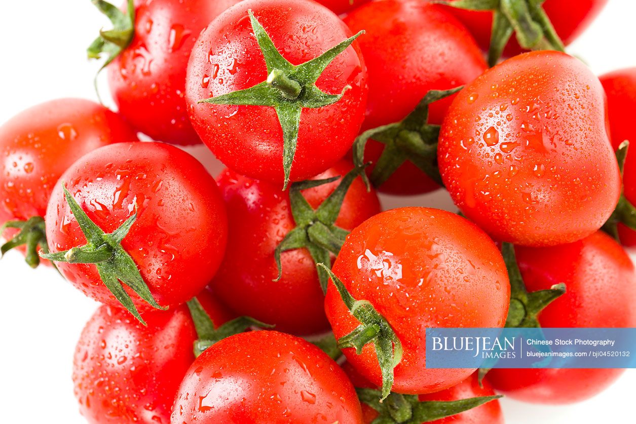 Fresh cherry tomatoes