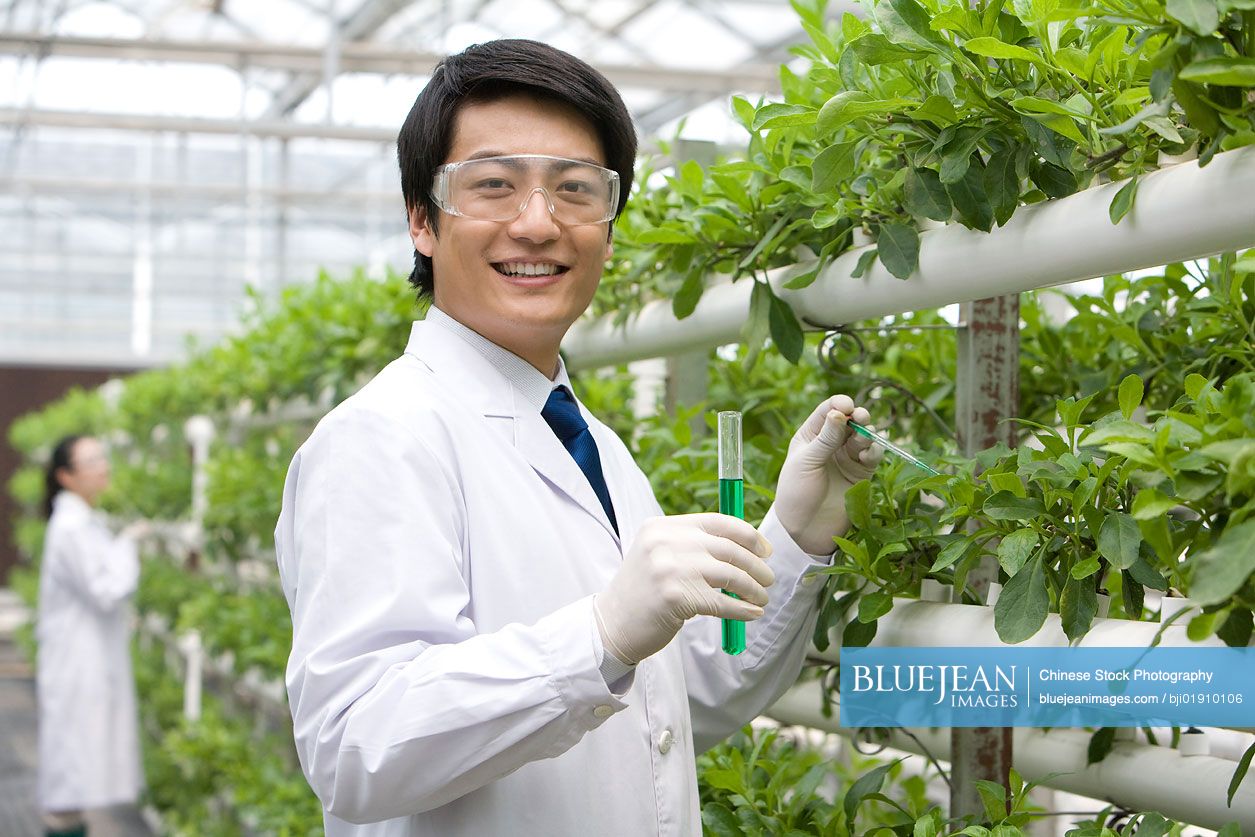 Chinese scientists doing research in modern farm