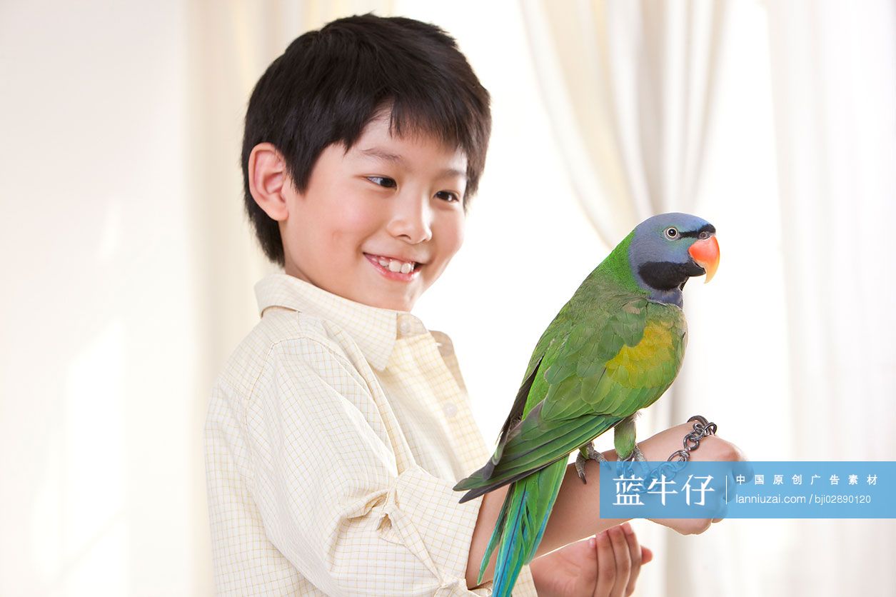 小男孩和鹦鹉