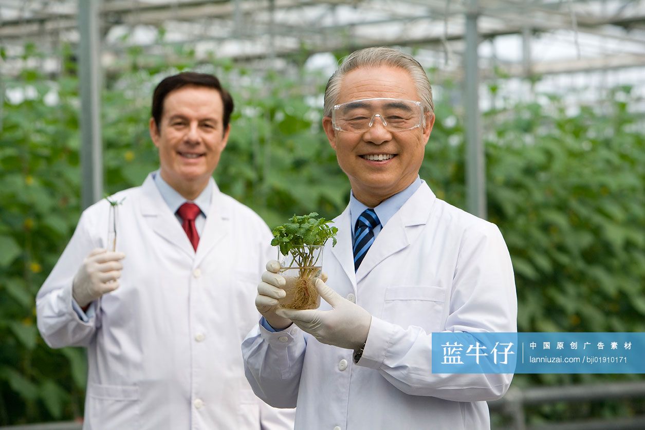 农艺师在现代农庄做科学研究