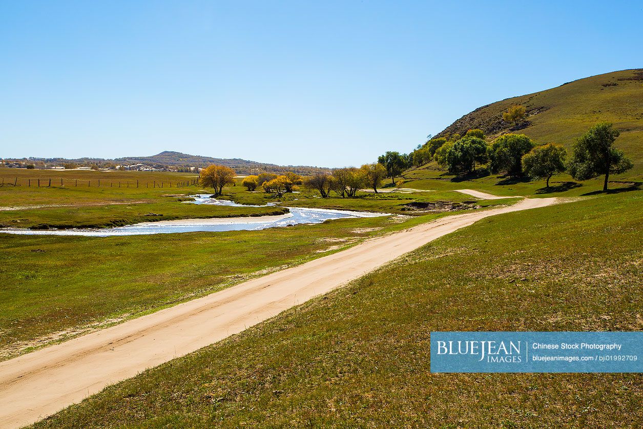 Grassland scenery