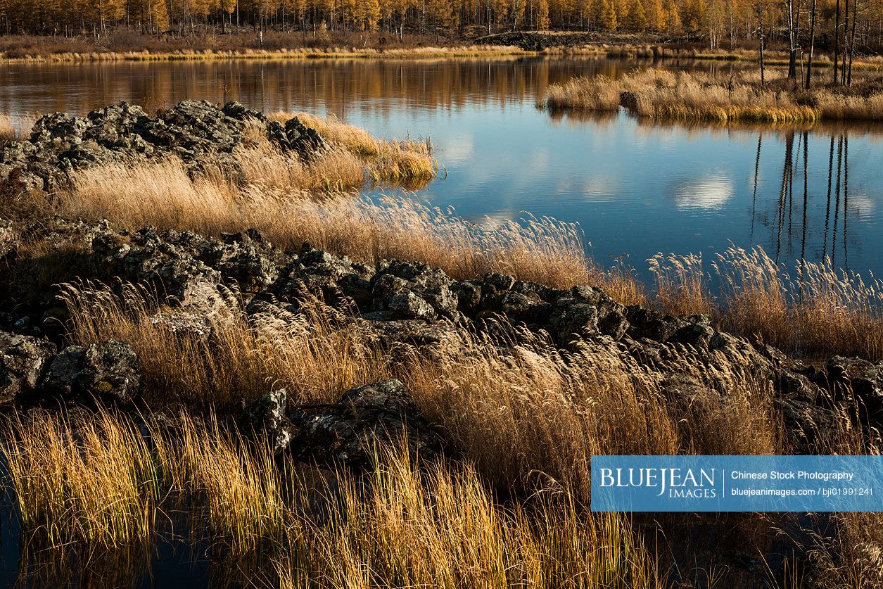 Arxan National Forest Park in Inner Mongolia province,China