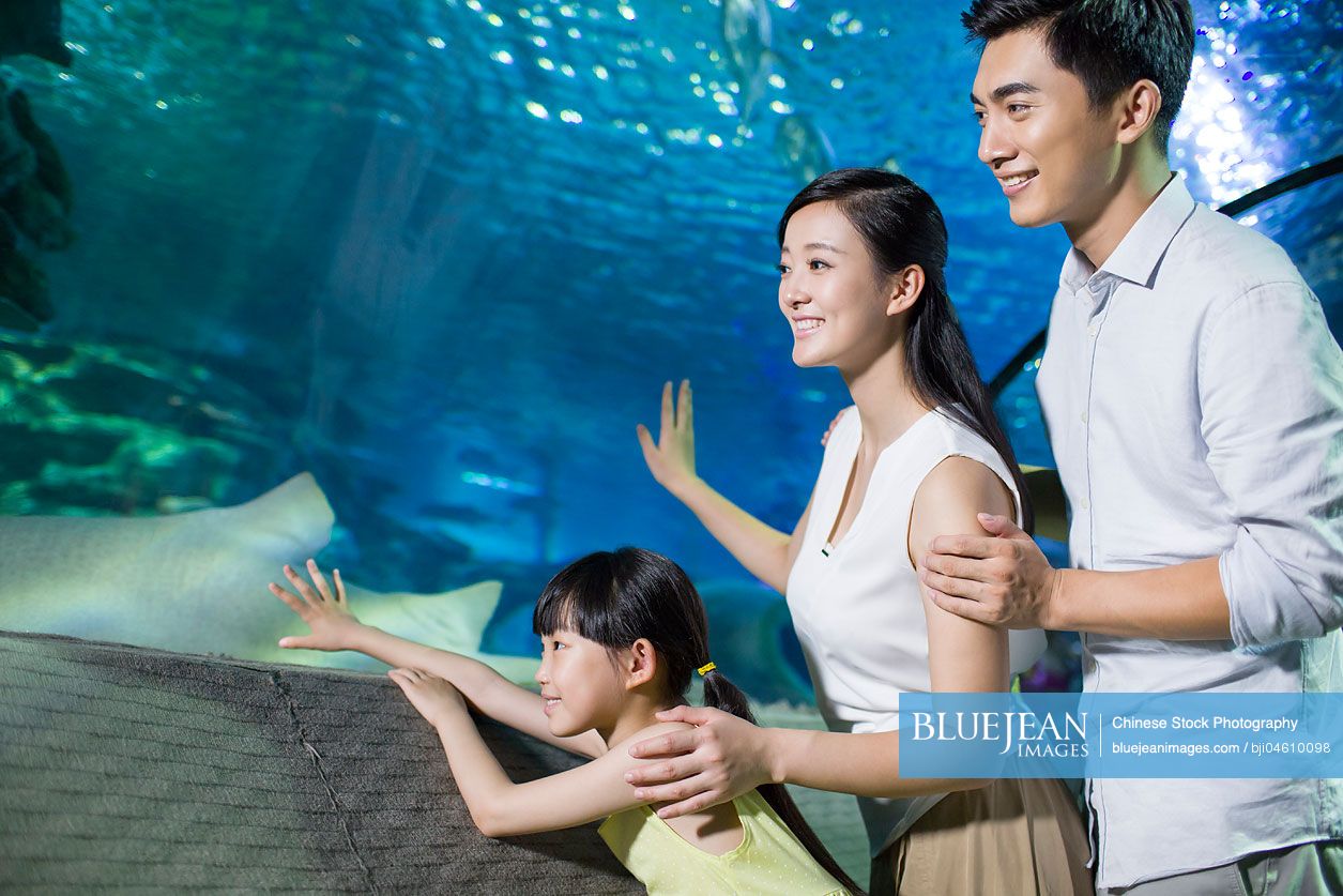 Young Chinese family in aquarium