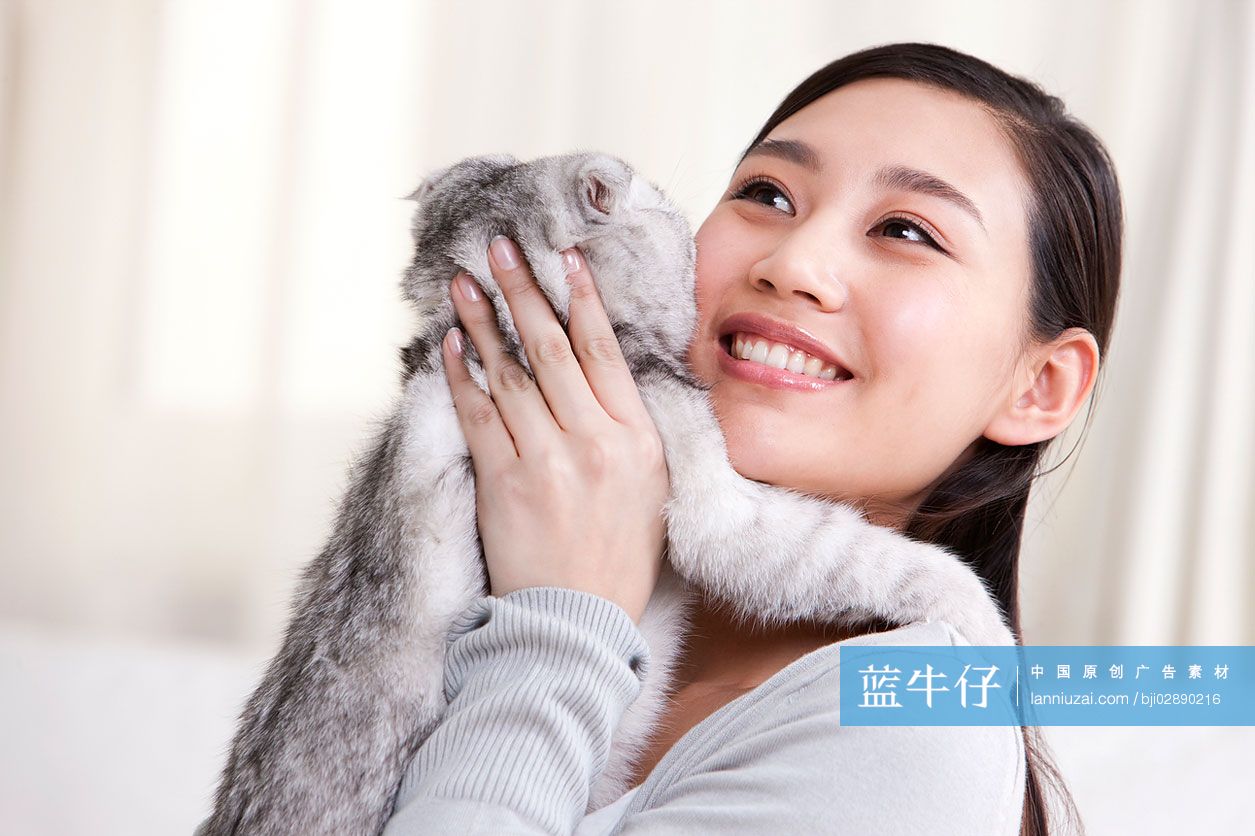 青年女子和苏格兰折耳猫