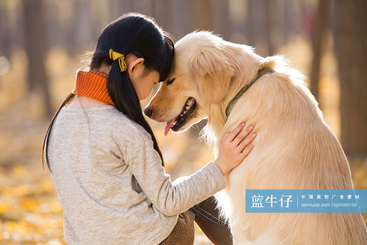 小女孩和宠物狗在秋日树林里玩耍