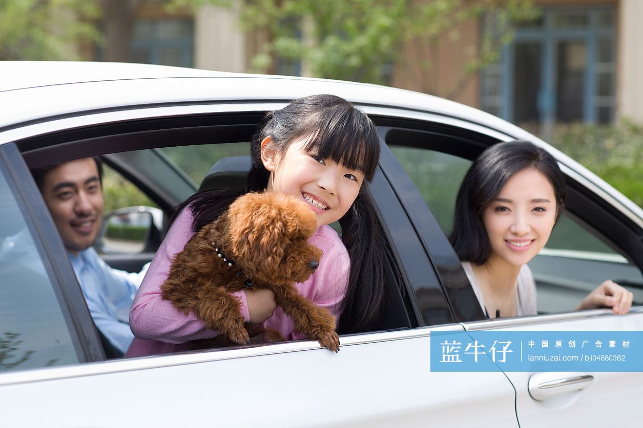 快乐的年轻家庭和宠物狗坐在汽车里