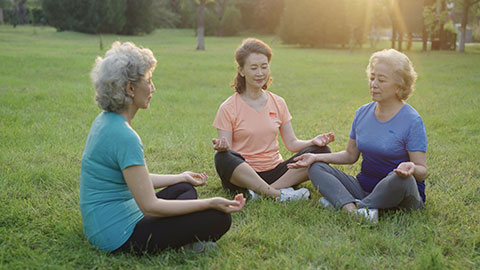Happy senior Chinese friends doing yoga in park,4K