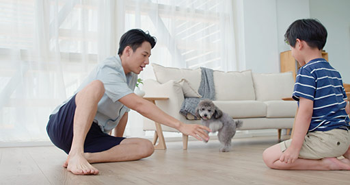 Chinese father and son playing with dog on floor,4K