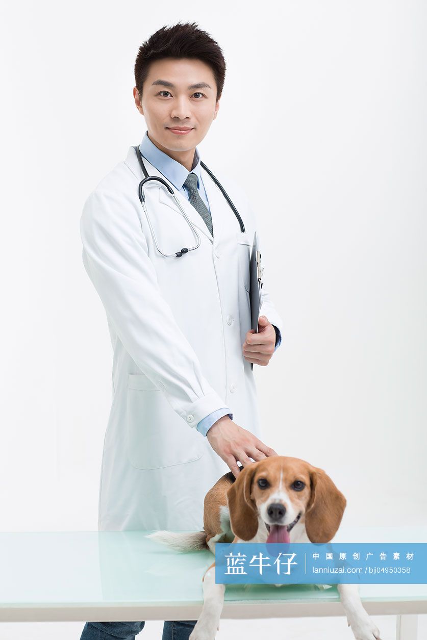 宠物医生给狗做检查