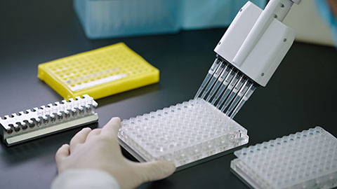Chinese scientist pipetting samples in laboratory,4K
