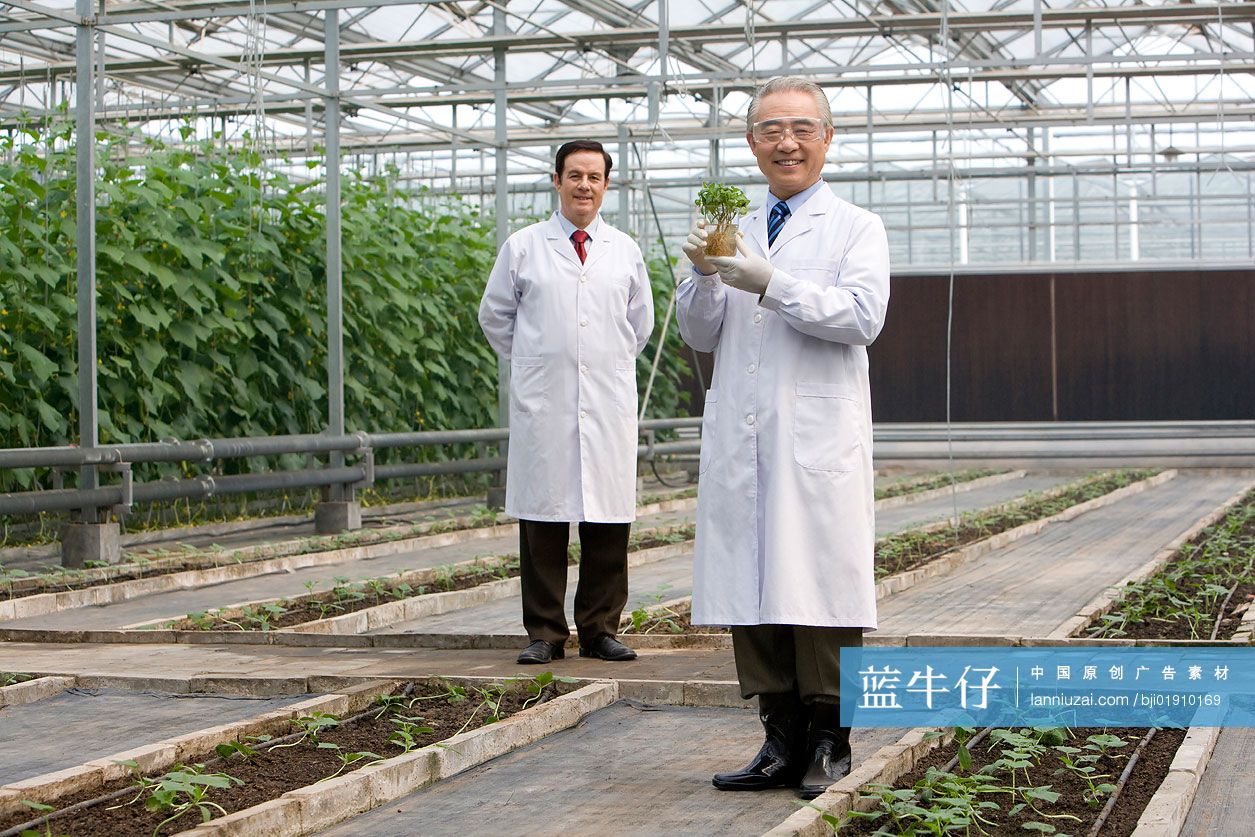 农艺师在现代农庄做科学研究
