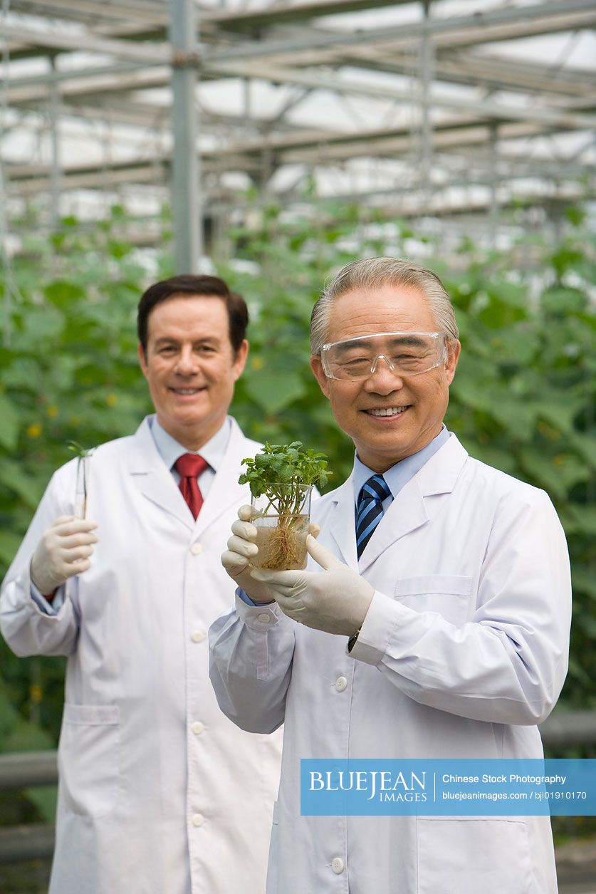Scientists doing research in modern farm
