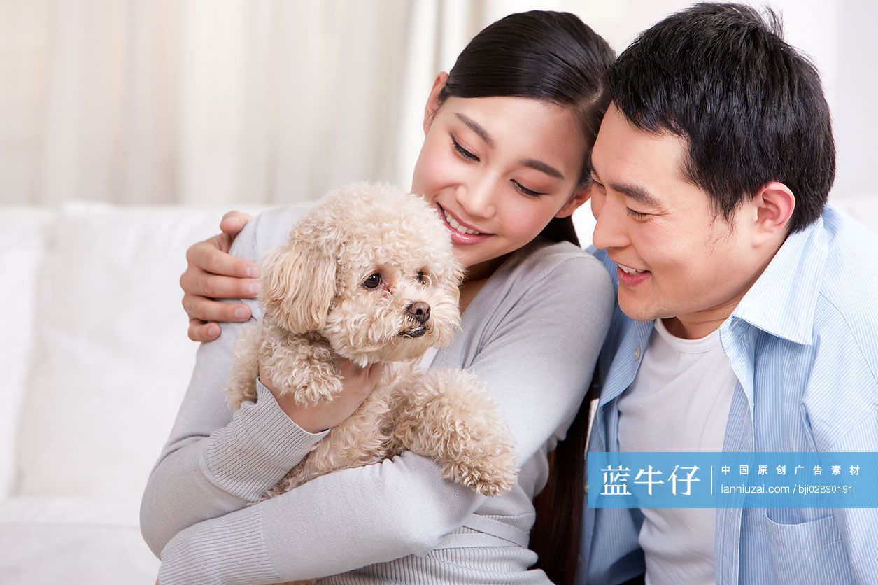 青年夫妇和泰迪狗
