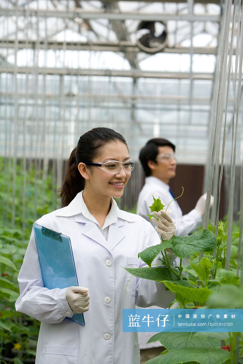 农艺师在现代农庄做科学研究