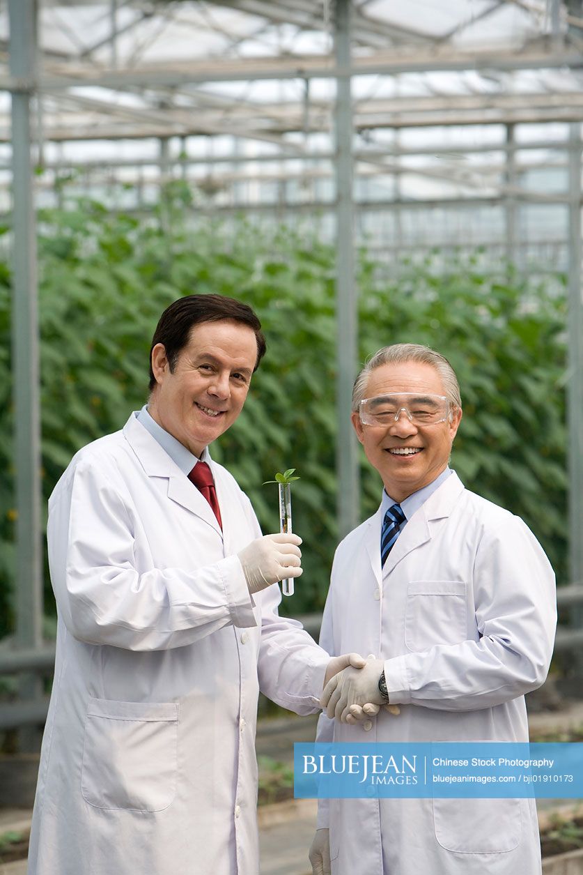 Scientists doing research in modern farm
