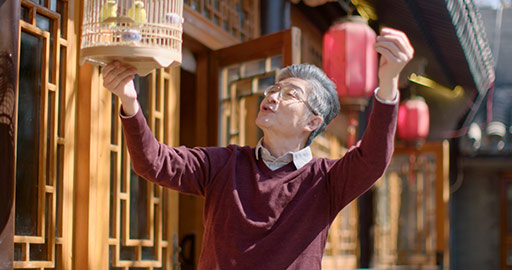 Senior Chinese man with pet birds in yard,4K