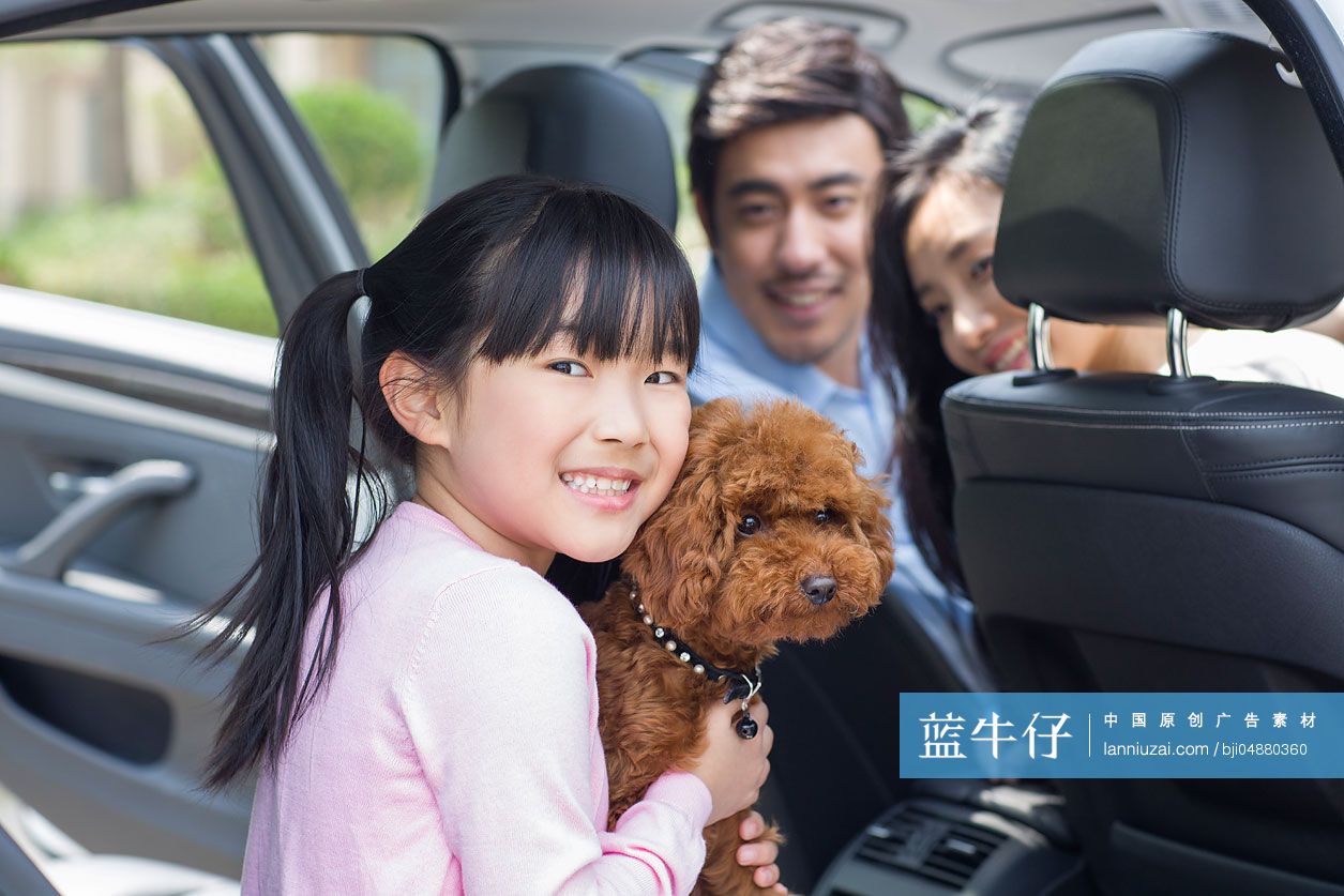 快乐的年轻家庭和宠物狗坐在汽车里