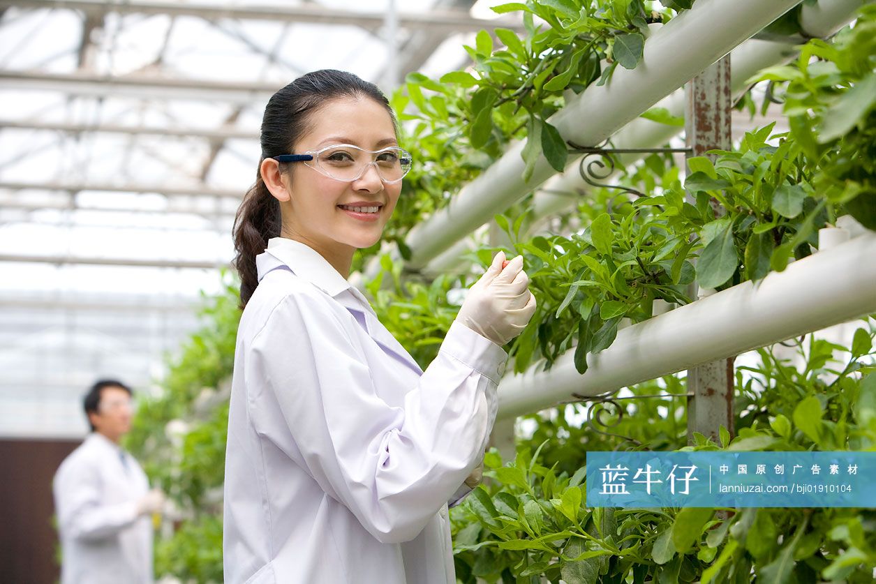 农艺师在现代农庄做科学研究