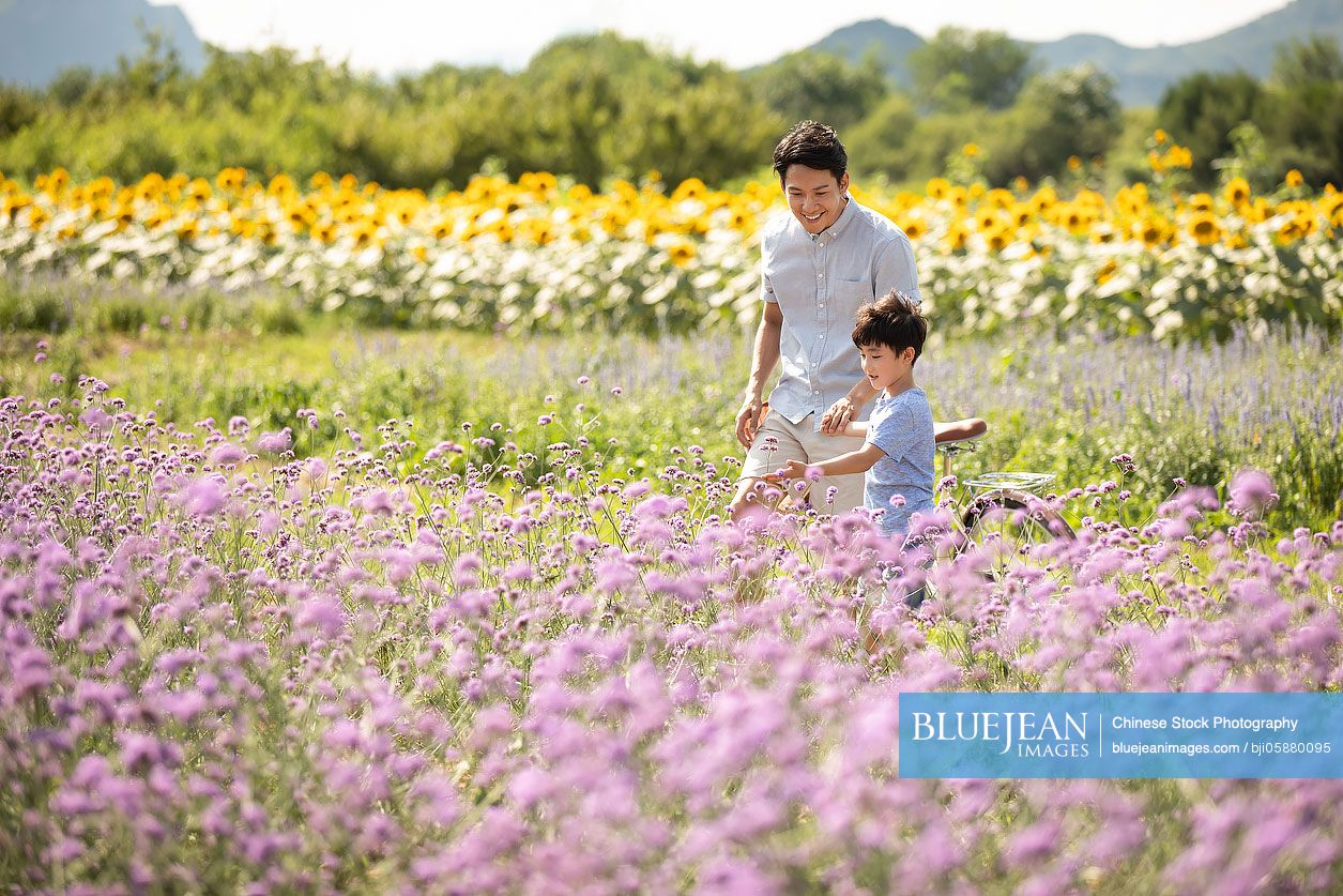 Chinese father and son in flower field