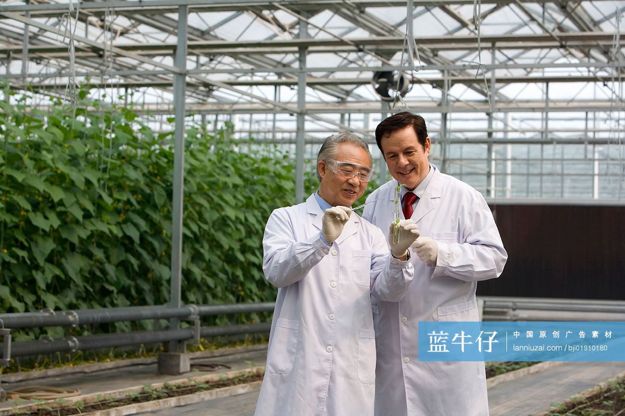 农艺师在现代农庄做科学研究