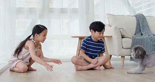Happy Chinese sibling playing with dog in living room,4K