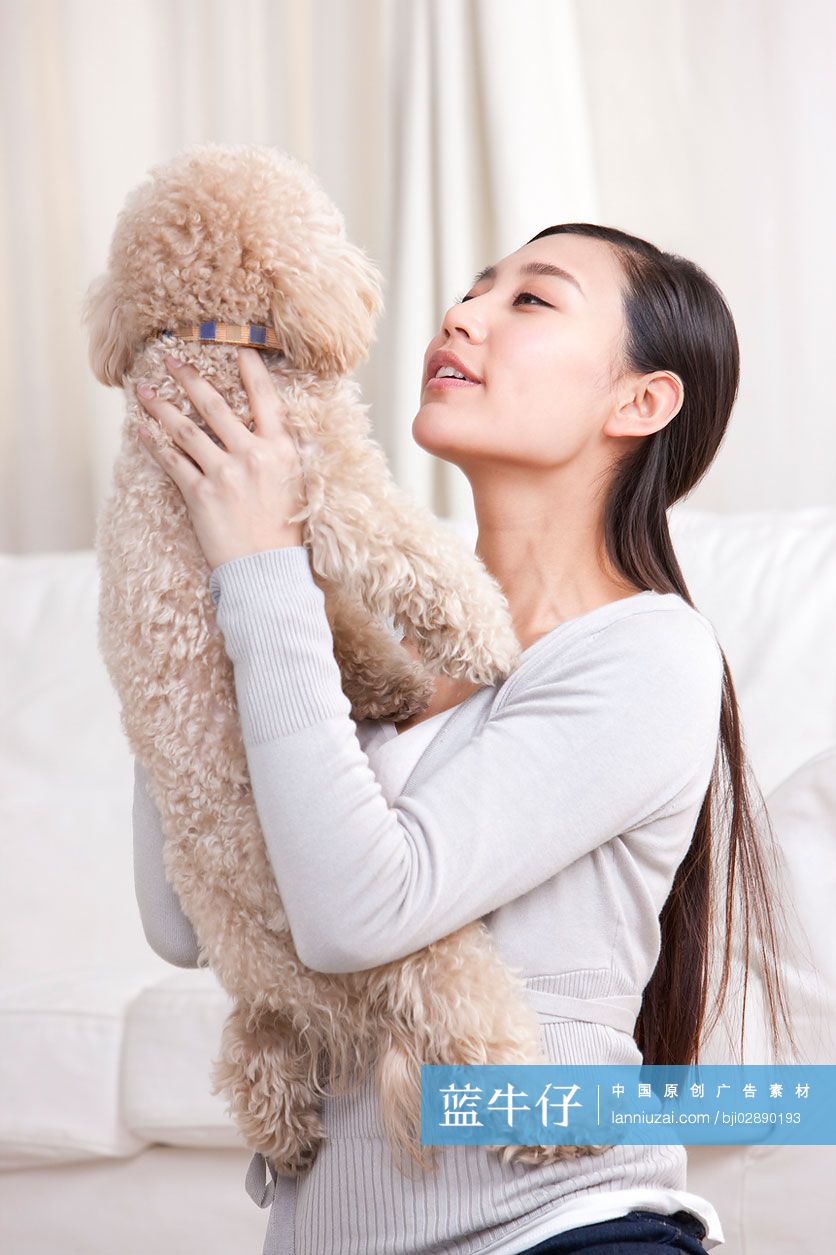 青年女子和泰迪狗