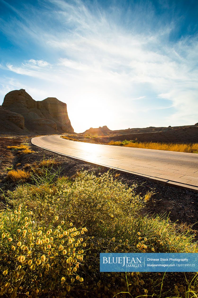 Road in desert