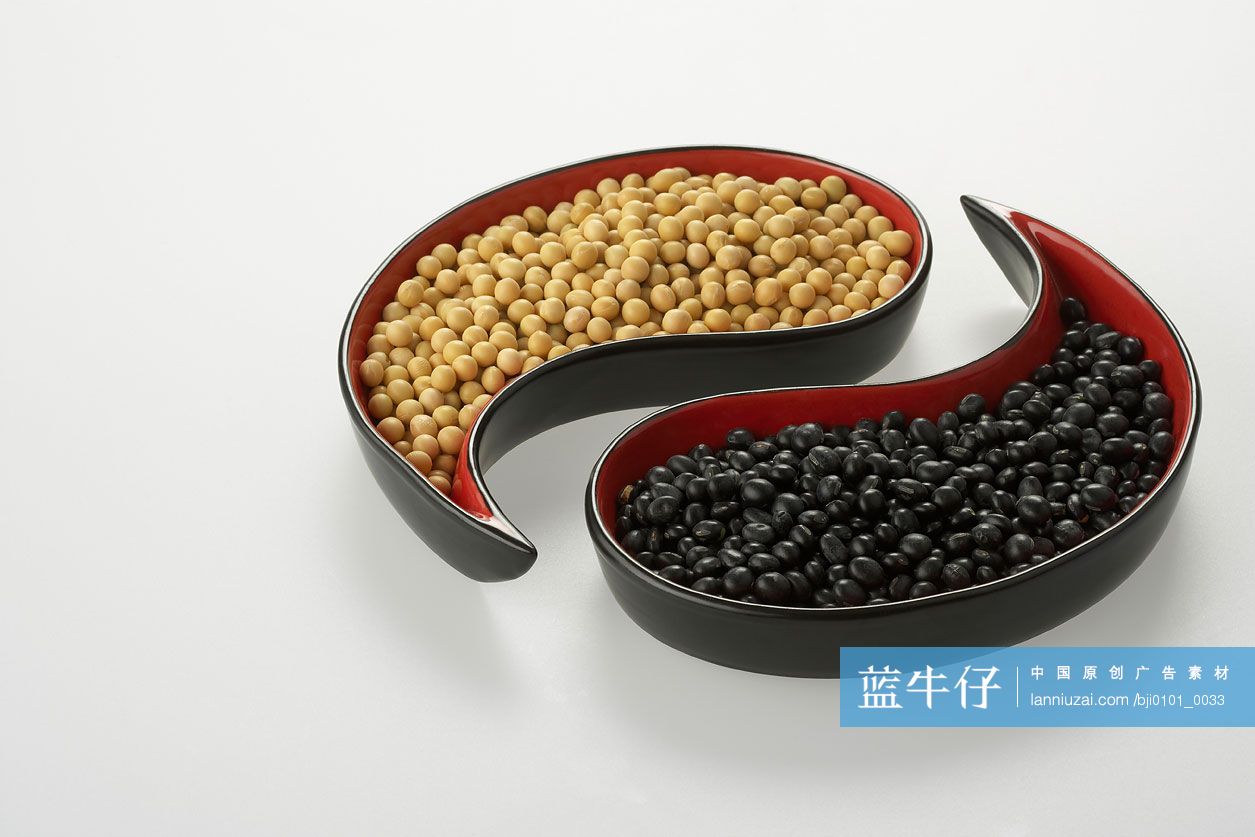 创意豆子