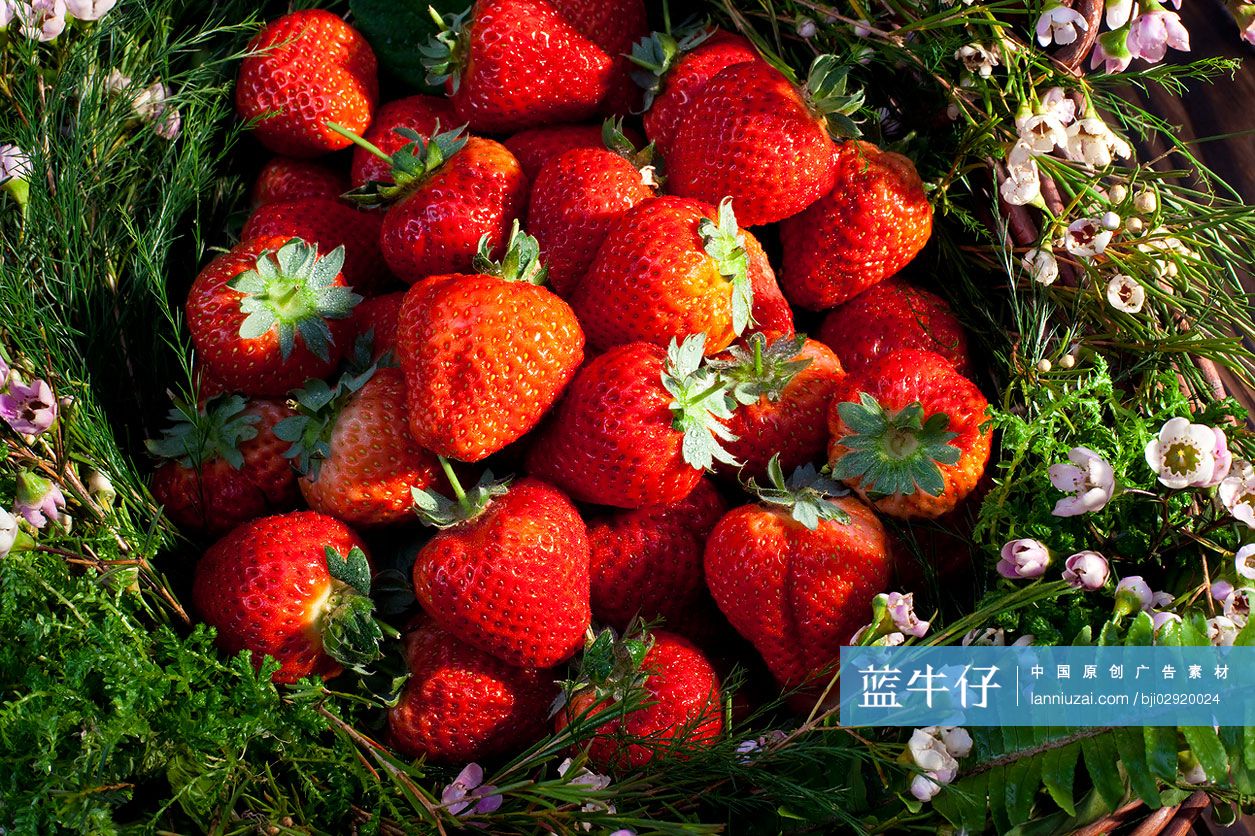 篮子里的草莓