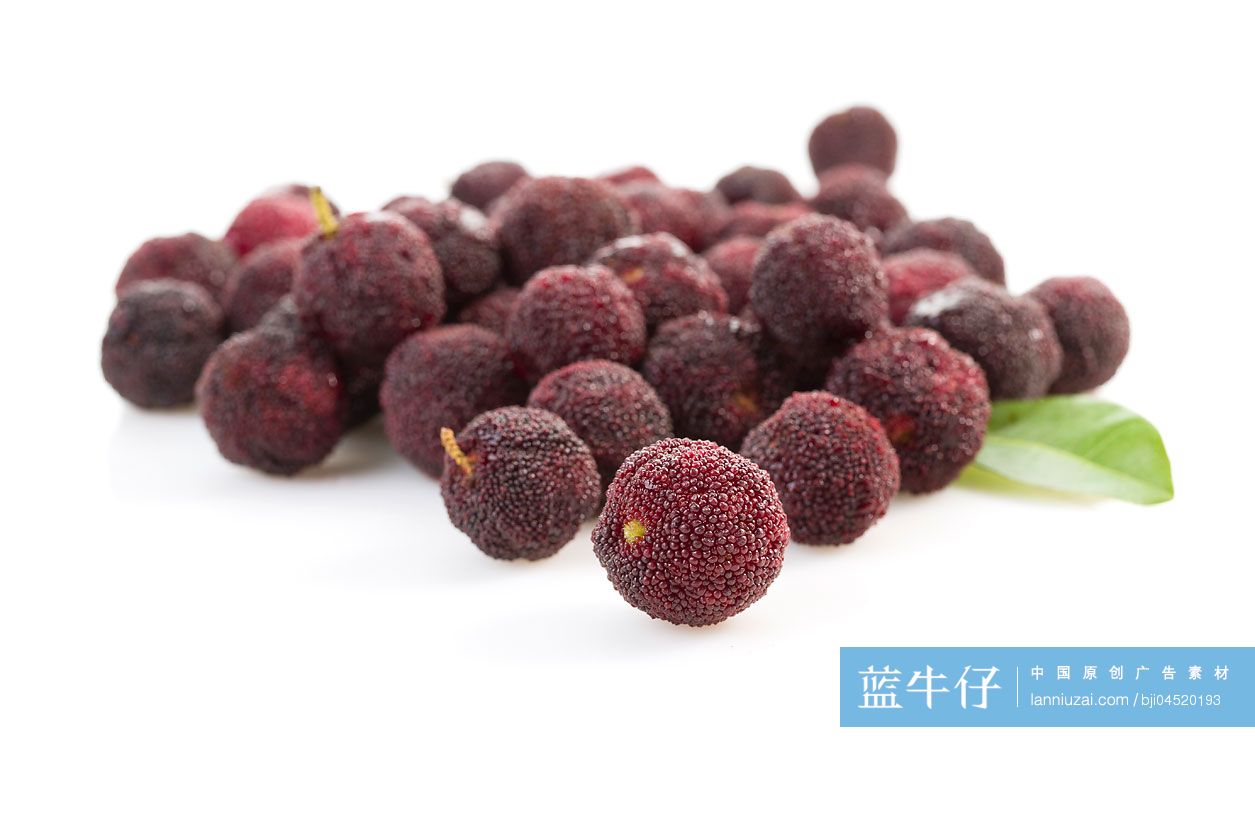 杨梅