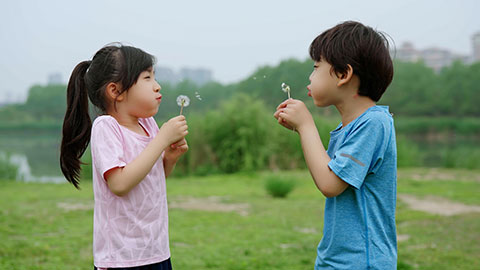 孩子们吹蒲公英