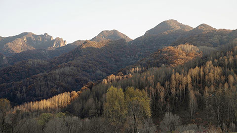 美丽的自然风光