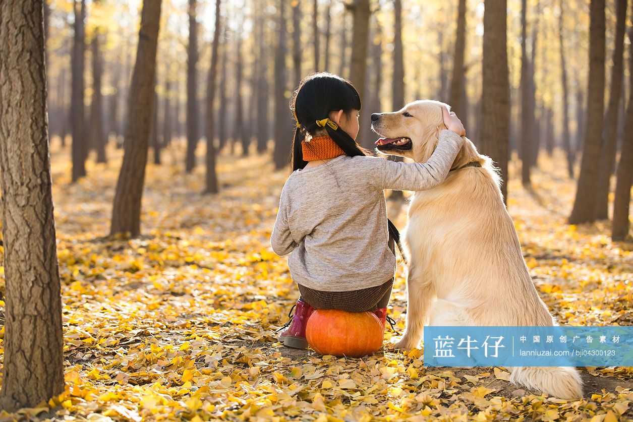 小女孩和宠物狗在秋日树林里玩耍