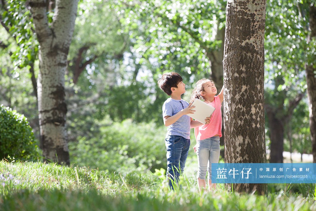 儿童在树林里嬉戏玩耍