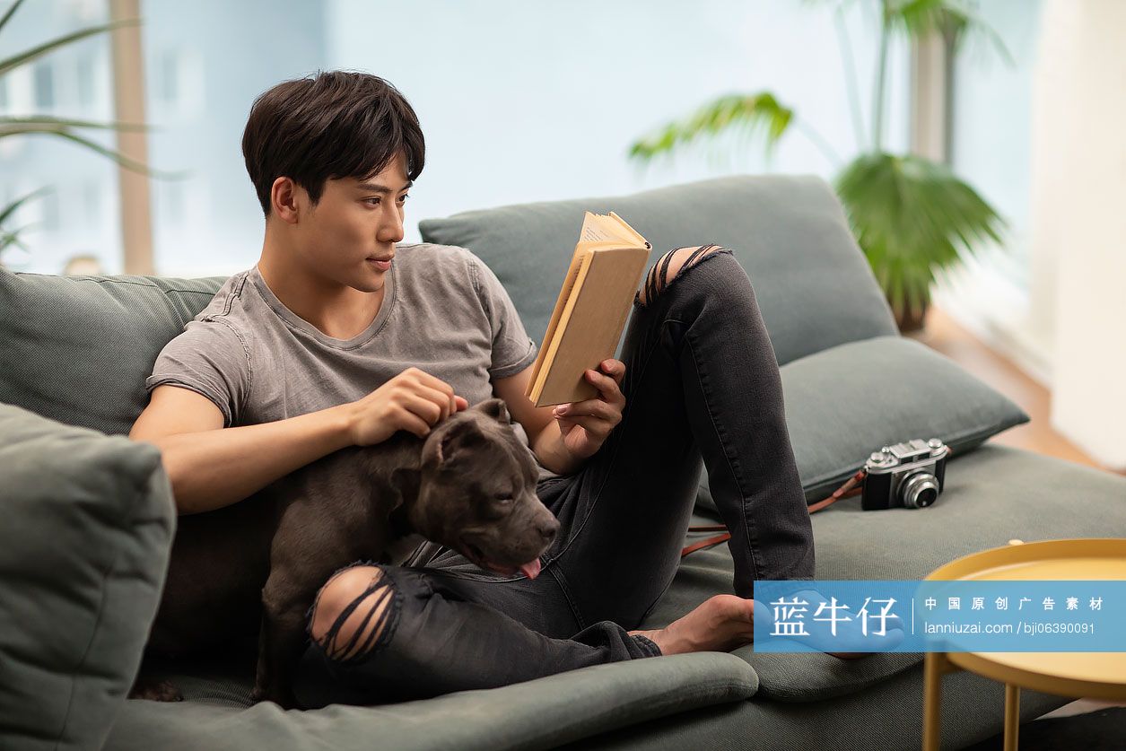 年轻男士和宠物狗在沙发上-蓝牛仔影像-中国原创广告影像素材