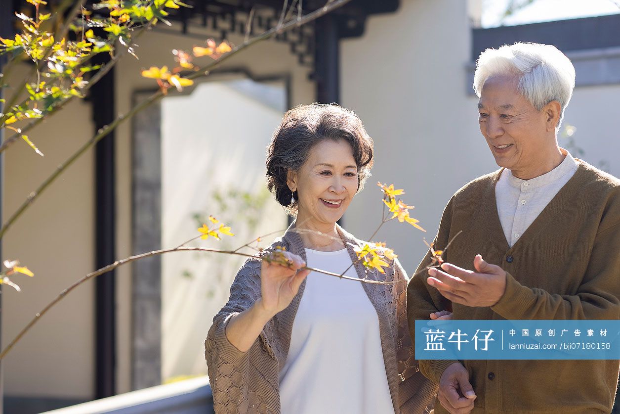老年夫妇逛古典园林