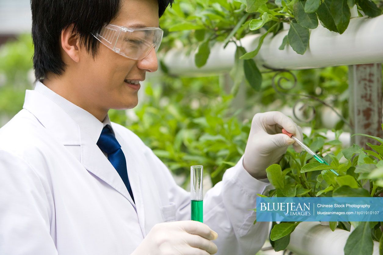 Chinese scientists doing research in modern farm