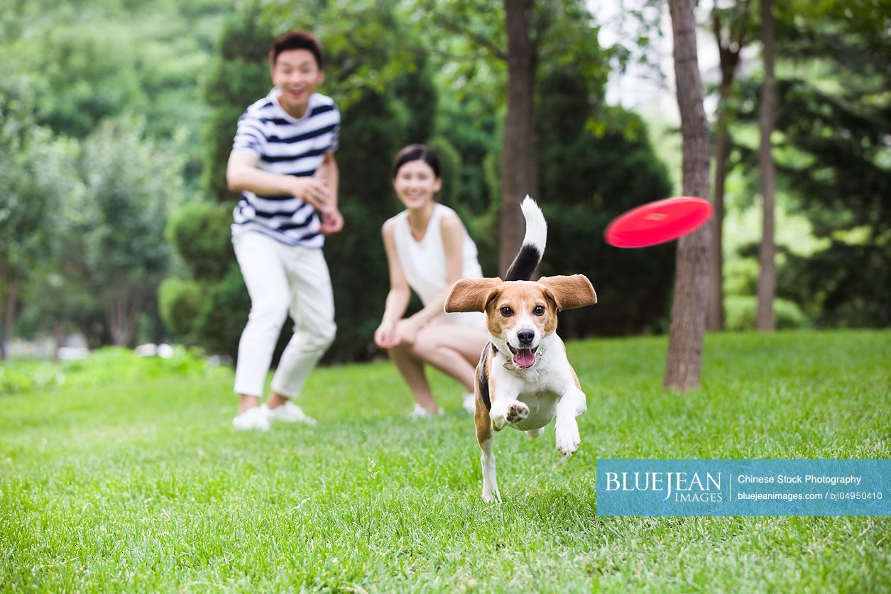 Young Chinese couple playing with a cute dog