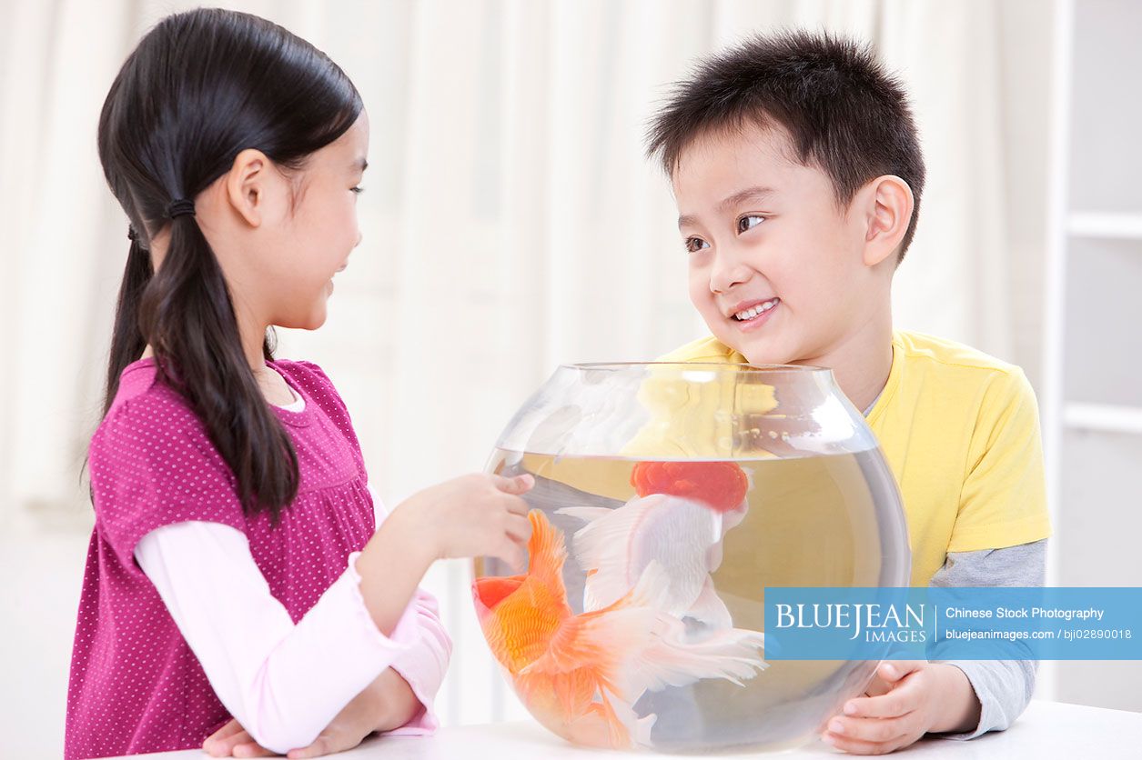 Chinese children having fun with goldfishes