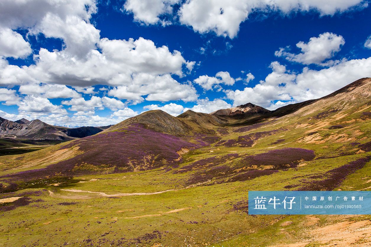 西藏境内的山
