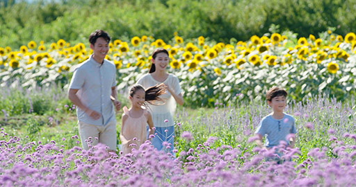 快乐的年轻家庭在花田玩耍