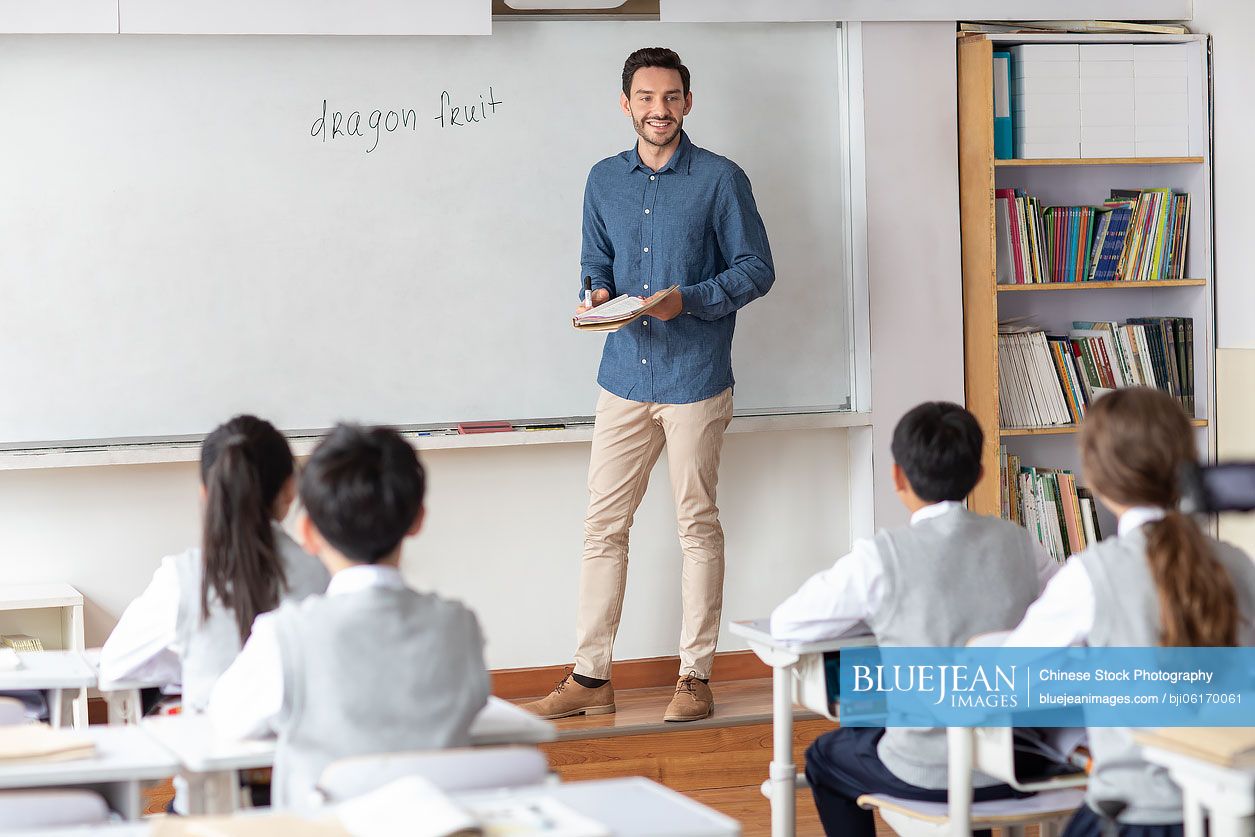 Young teacher teaching a class