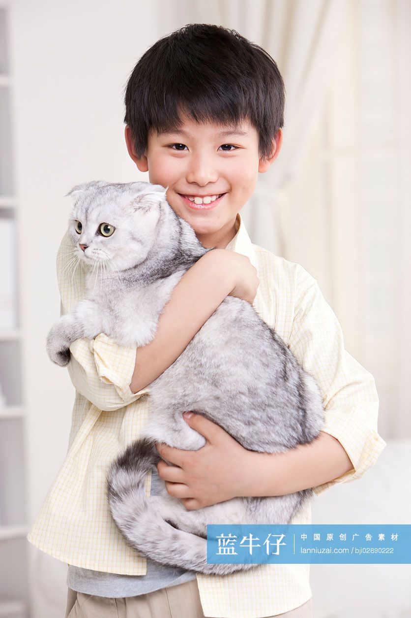 小男孩和苏格兰折耳猫